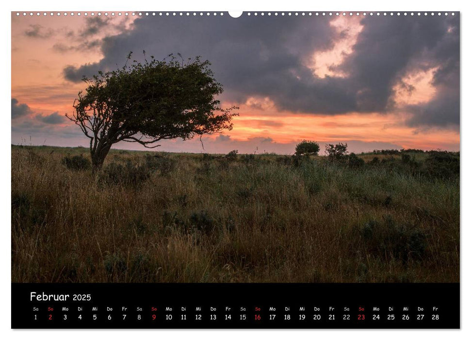 Unterwegs in Dänemark (CALVENDO Wandkalender 2025)