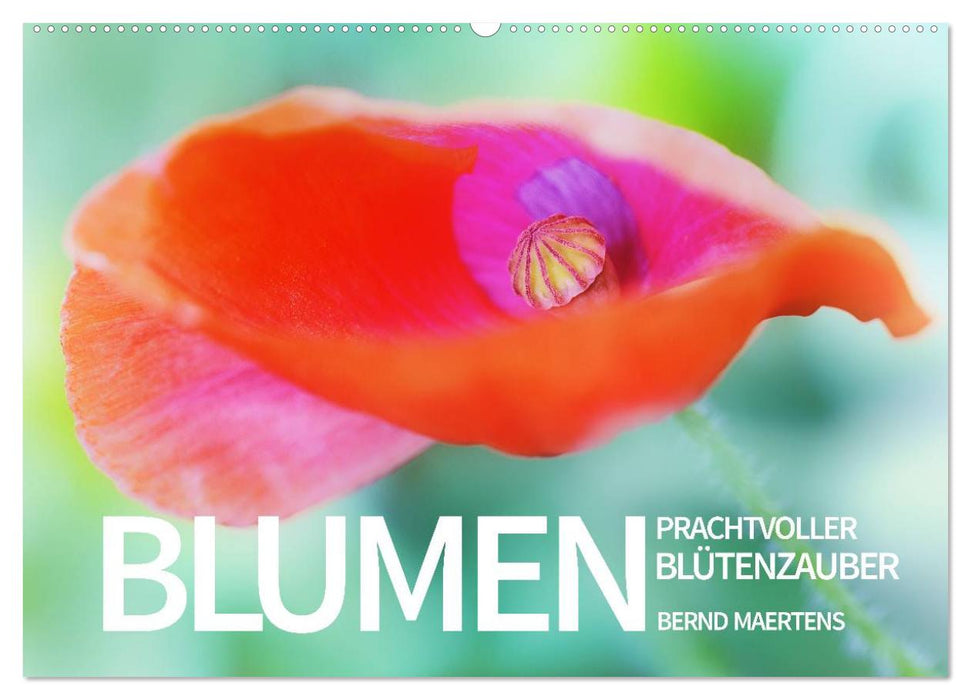 BLUMEN Prachtvoller Blütenzauber (CALVENDO Wandkalender 2025)