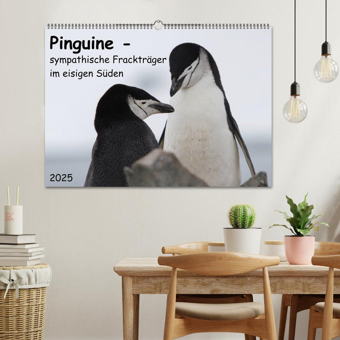 Pinguine - sympathische Frackträger im eisigen Süden (CALVENDO Wandkalender 2025)