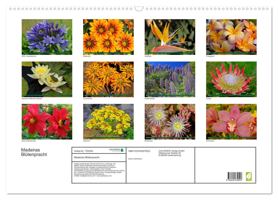 Madeiras Blütenpracht (CALVENDO Wandkalender 2025)