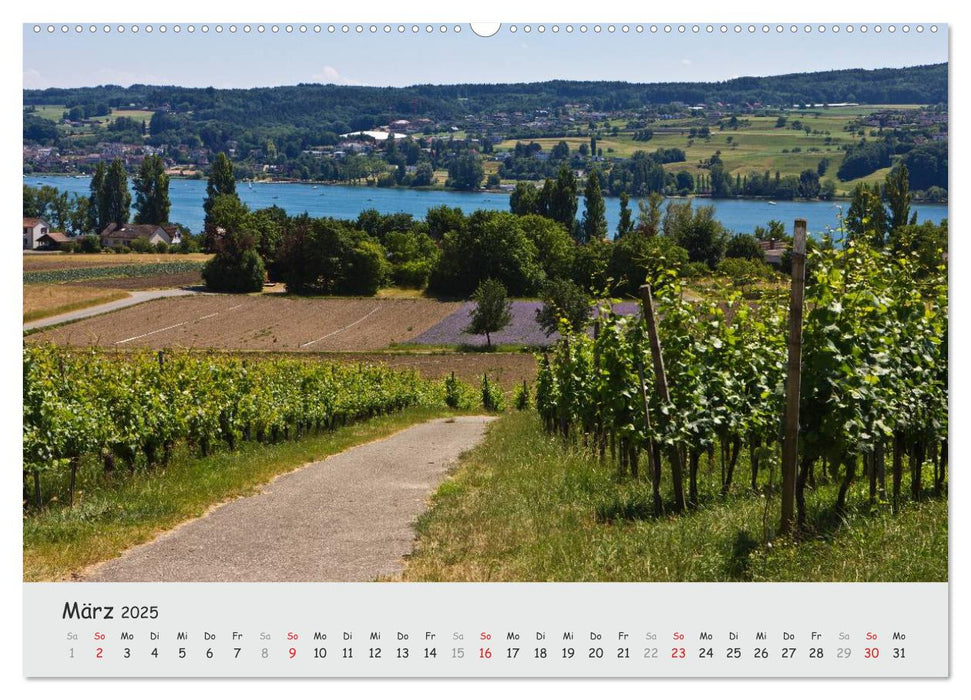 Insel Reichenau - Klosterinsel im Bodensee (CALVENDO Wandkalender 2025)