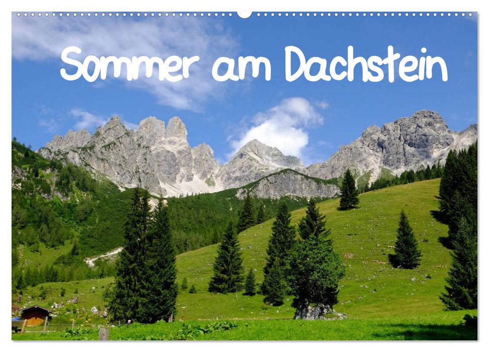 Sommer am Dachstein (CALVENDO Wandkalender 2025)
