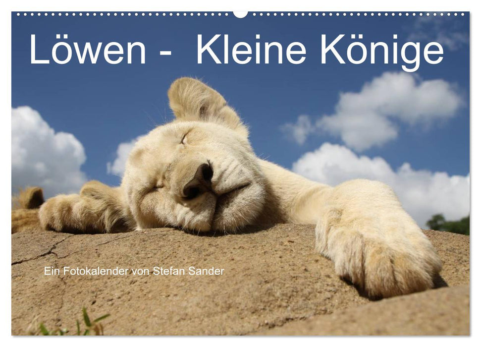 Löwen - Kleine Könige (CALVENDO Wandkalender 2025)