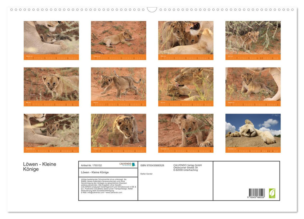 Löwen - Kleine Könige (CALVENDO Wandkalender 2025)
