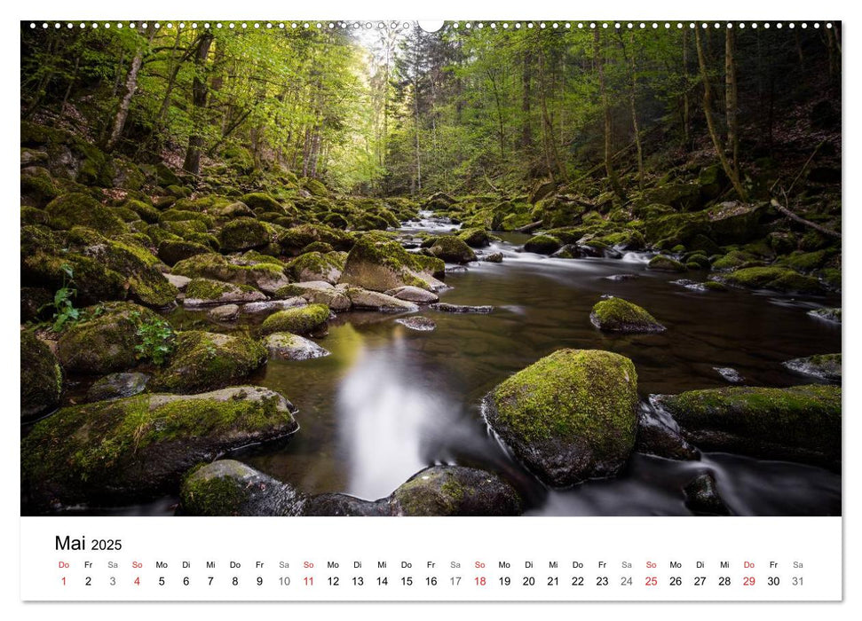 Impressionen Passauer Land, Bayrischer Wald, Grenzland (CALVENDO Wandkalender 2025)