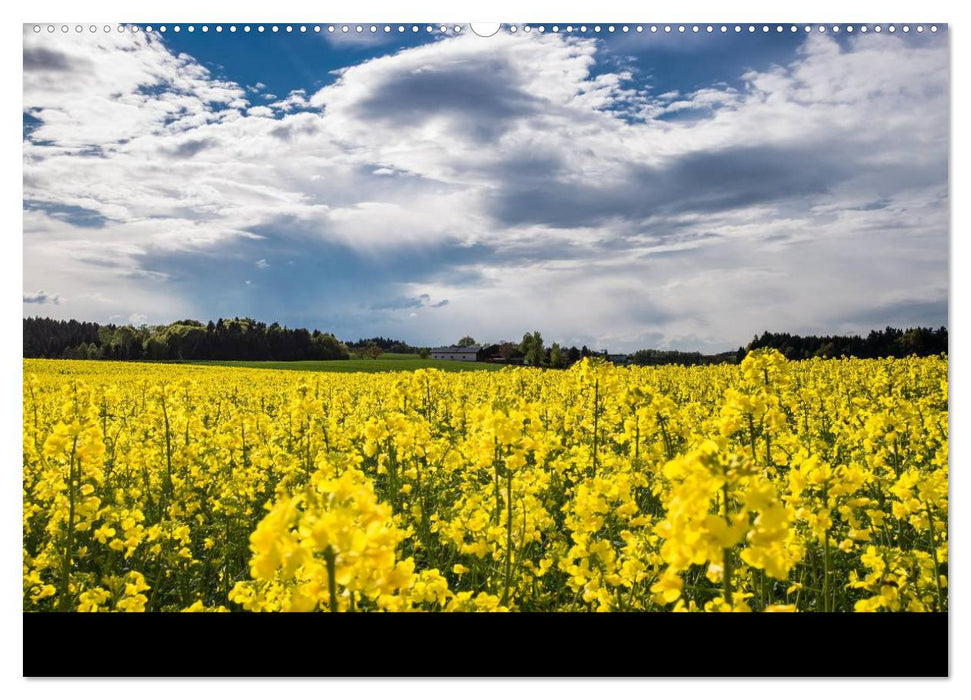 Impressionen Passauer Land, Bayrischer Wald, Grenzland (CALVENDO Wandkalender 2025)