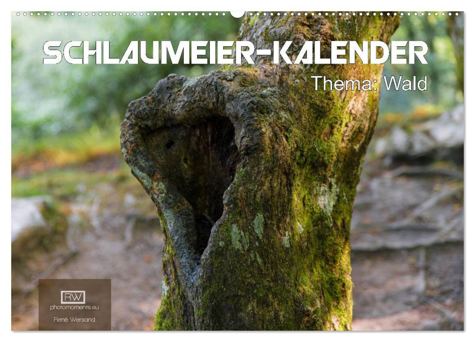 Schlaumeier-Kalender - Thema: Wald (CALVENDO Wandkalender 2025)