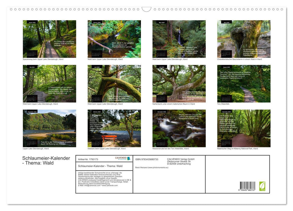 Schlaumeier-Kalender - Thema: Wald (CALVENDO Wandkalender 2025)