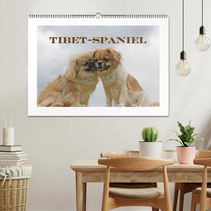 Tibet-Spaniel (CALVENDO Wandkalender 2025)
