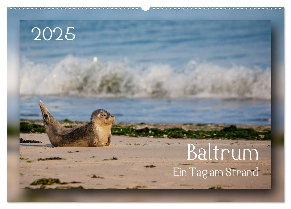 Baltrum - Ein Tag am Strand (CALVENDO Wandkalender 2025)