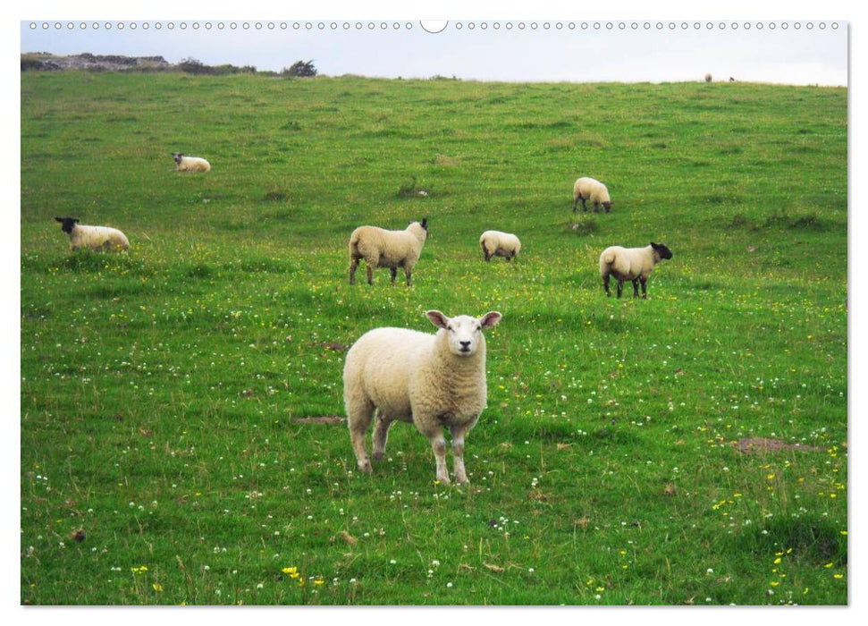 Irland einfach märchenhaft (CALVENDO Wandkalender 2025)