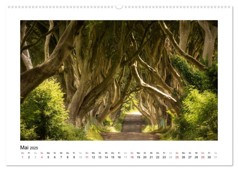 Irland und Nordirland 2025 (CALVENDO Wandkalender 2025)