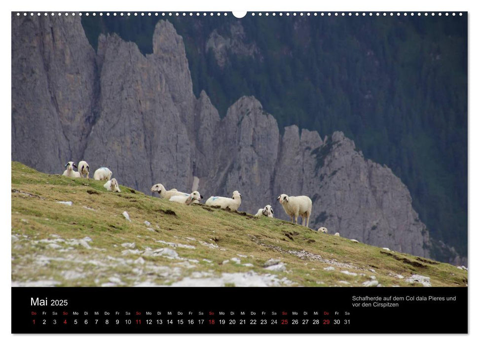 DOLOMITEN 2025 (CALVENDO Wandkalender 2025)