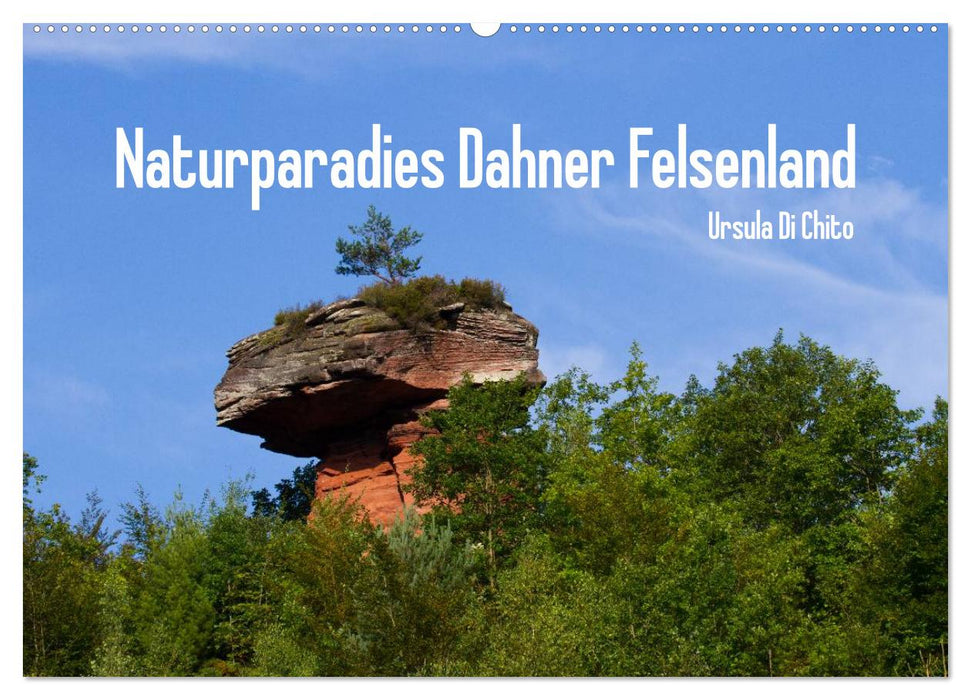 Naturparadies Dahner Felsenland (CALVENDO Wandkalender 2025)