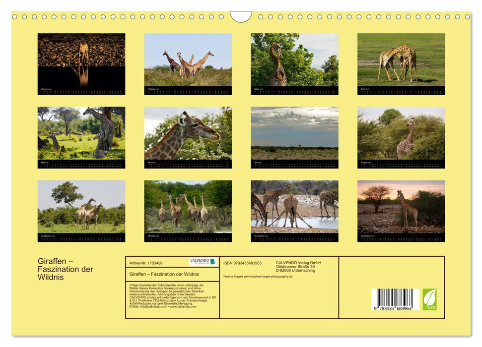 Giraffen – Faszination der Wildnis (CALVENDO Wandkalender 2025)