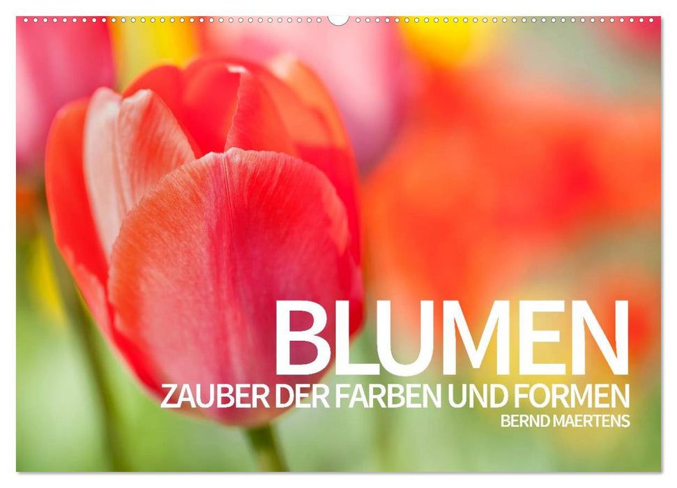 BLUMEN Zauber der Farben und Formen (CALVENDO Wandkalender 2025)