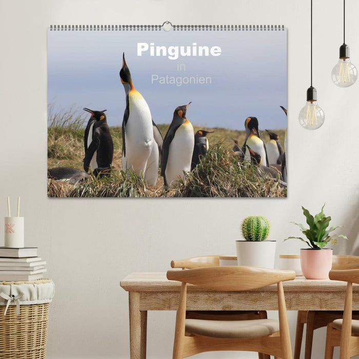 Pinguine in Patagonien (CALVENDO Wandkalender 2025)