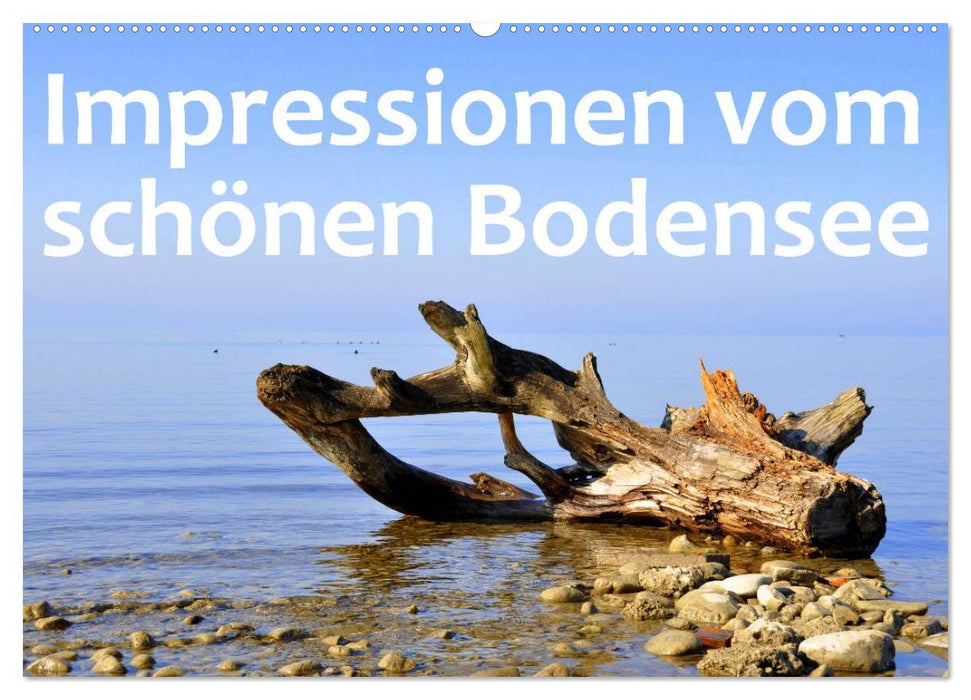 Impressionen vom schönen Bodensee (CALVENDO Wandkalender 2025)