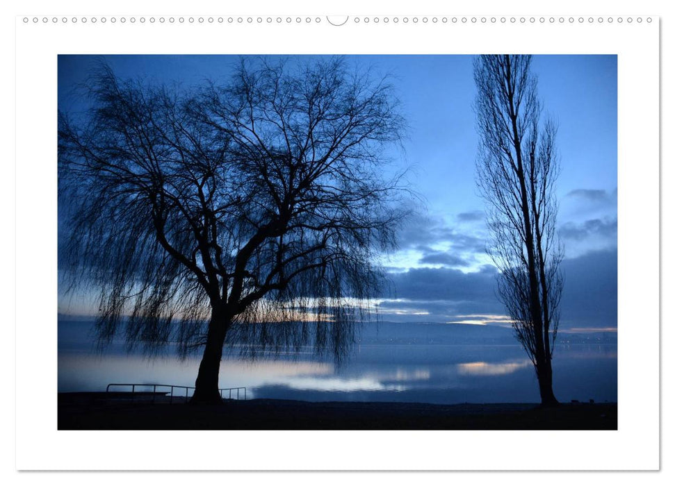 Impressionen vom schönen Bodensee (CALVENDO Wandkalender 2025)