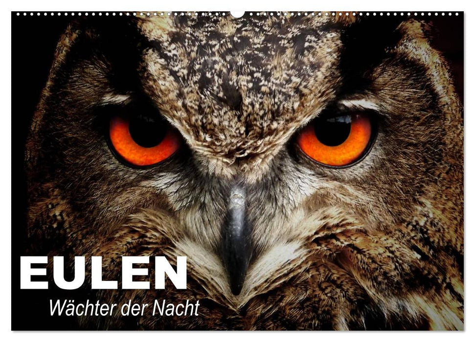 Eulen. Wächter der Nacht (CALVENDO Wandkalender 2025)