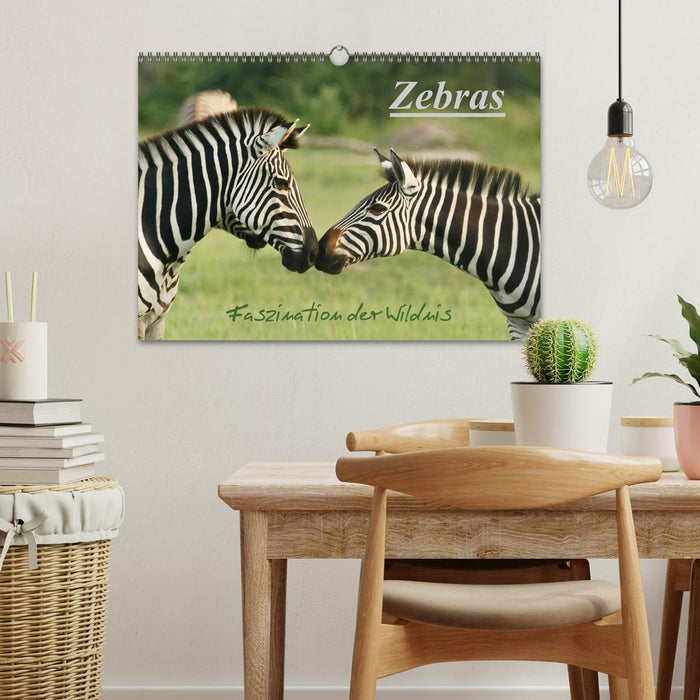 Zebras - Faszination der Wildnis (CALVENDO Wandkalender 2025)
