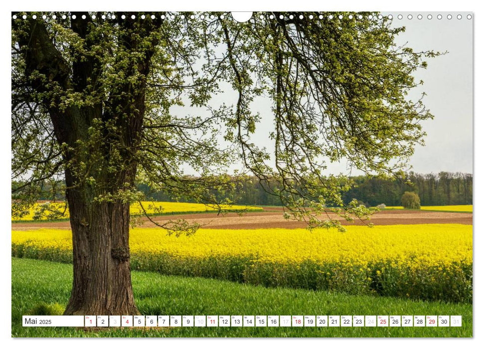 Die Wetterau - Landschaft und Kultur (CALVENDO Wandkalender 2025)