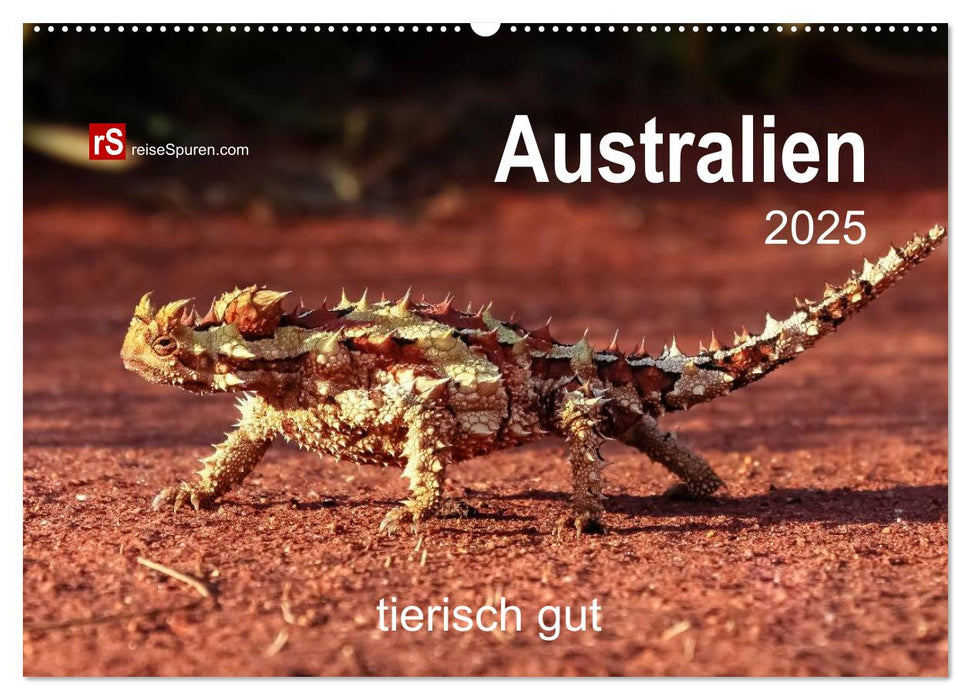 Australien tierisch gut 2025 (CALVENDO Wandkalender 2025)