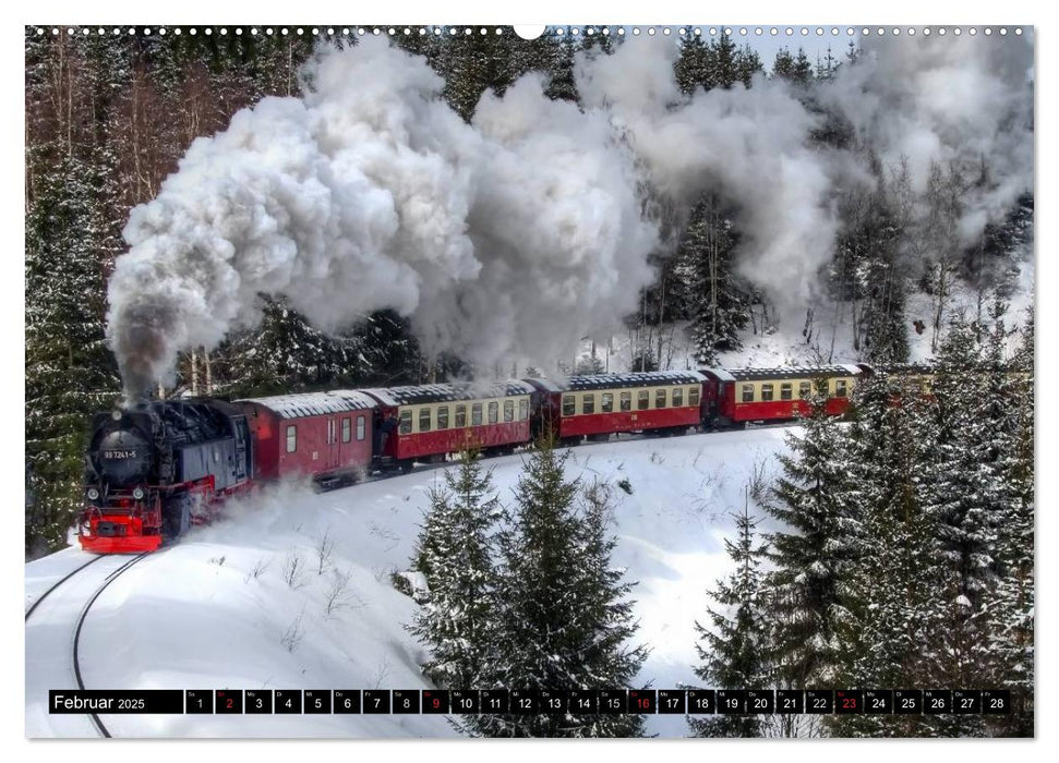 Schmalspurbahnen in Sachsen Anhalt (CALVENDO Premium Wandkalender 2025)