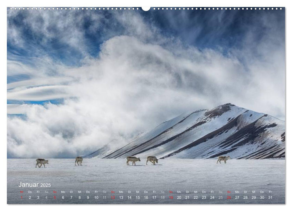 Landschaft im Licht (CALVENDO Premium Wandkalender 2025)