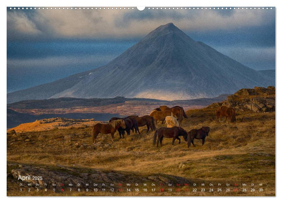 Landschaft im Licht (CALVENDO Premium Wandkalender 2025)