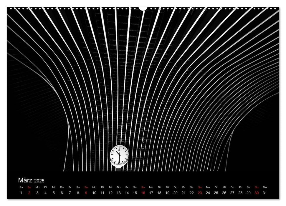 Black-Schwarz-Noir 2025 (CALVENDO Premium Wandkalender 2025)