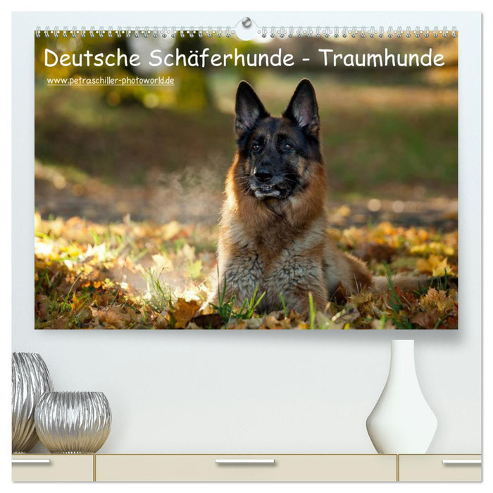 Deutsche Schäferhunde - Traumhunde (CALVENDO Premium Wandkalender 2025)