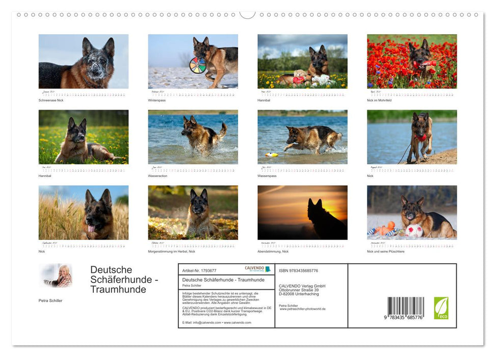 Deutsche Schäferhunde - Traumhunde (CALVENDO Premium Wandkalender 2025)