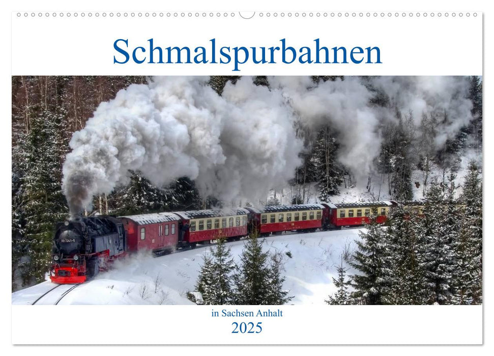 Schmalspurbahnen in Sachsen Anhalt (CALVENDO Wandkalender 2025)