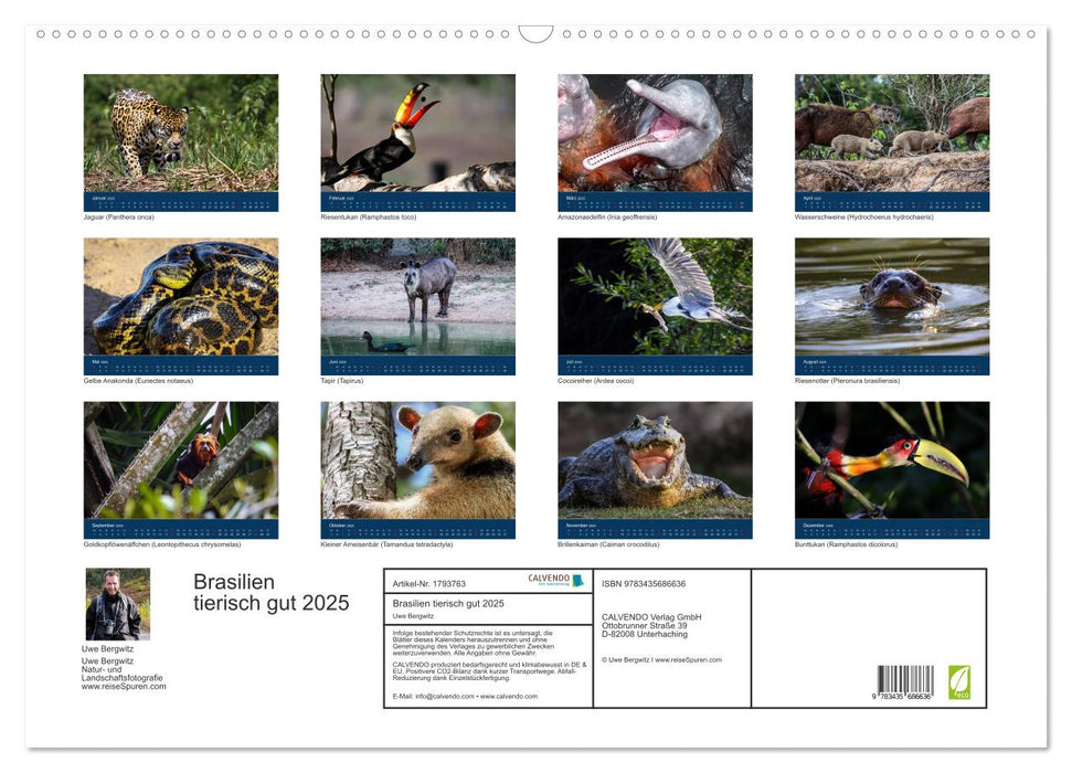 Brasilien tierisch gut 2025 (CALVENDO Wandkalender 2025)
