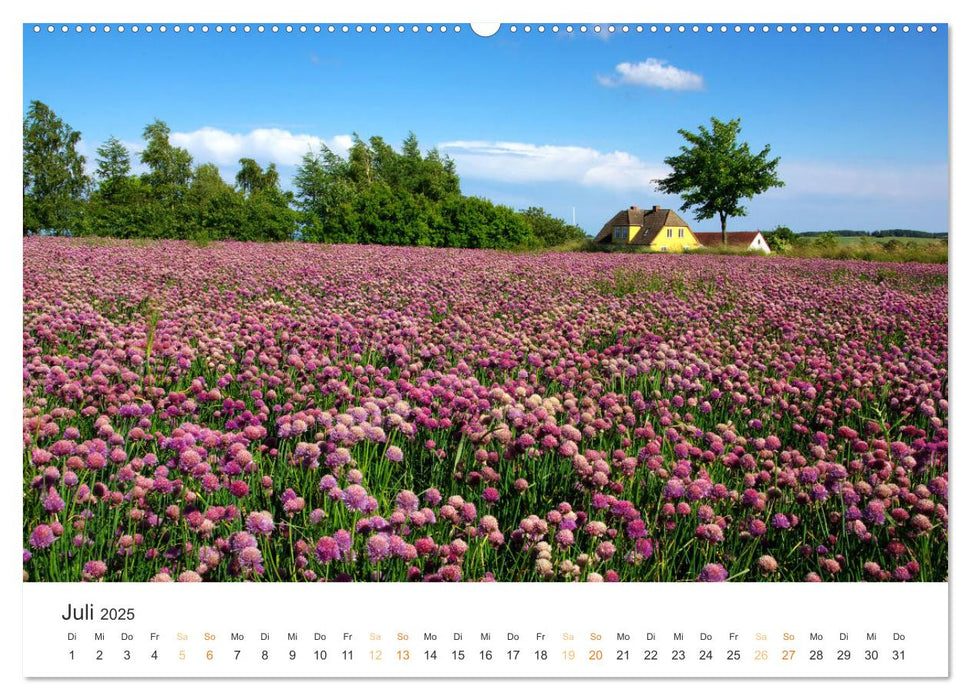 Bornholm Pur (CALVENDO Premium Wandkalender 2025)