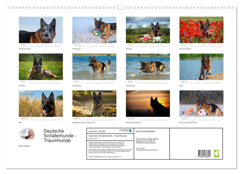 Deutsche Schäferhunde - Traumhunde (CALVENDO Wandkalender 2025)