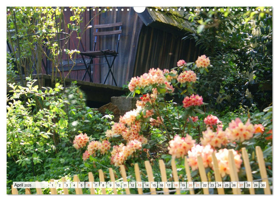 Momente im Garten (CALVENDO Wandkalender 2025)