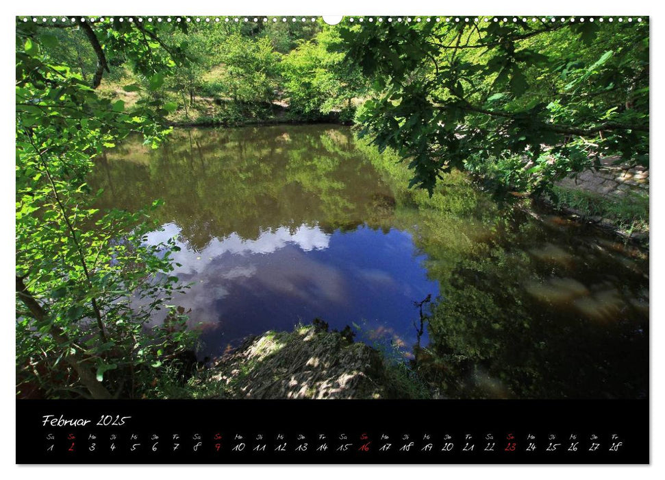 Brocéliande / Zauberwald der Bretagne (CALVENDO Premium Wandkalender 2025)