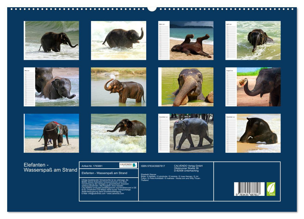 Elefanten - Wasserspaß am Strand (CALVENDO Premium Wandkalender 2025)