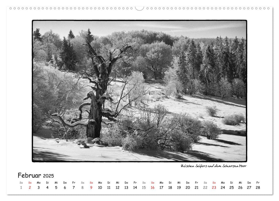 RHÖN SCHWARZ-WEISS (CALVENDO Premium Wandkalender 2025)