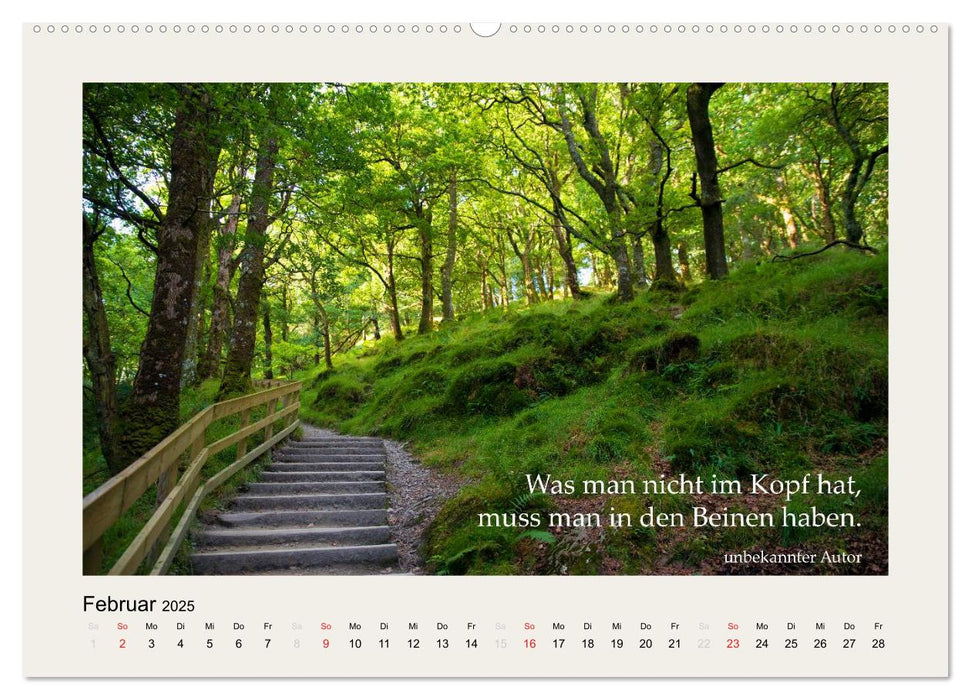 Hirnyoga (CALVENDO Premium Wandkalender 2025)