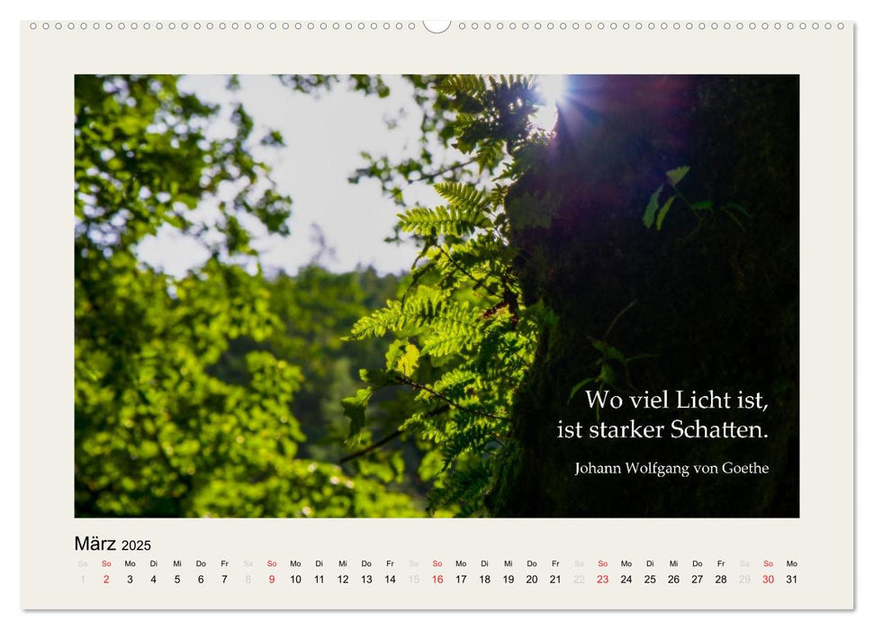 Hirnyoga (CALVENDO Premium Wandkalender 2025)