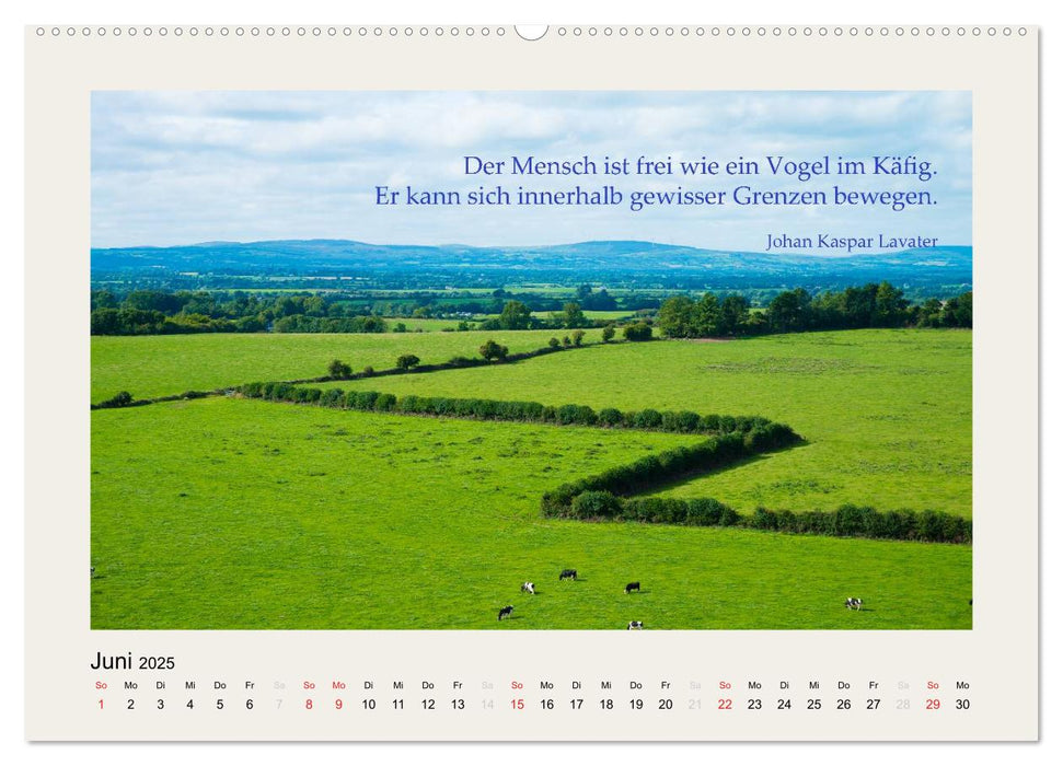 Hirnyoga (CALVENDO Premium Wandkalender 2025)