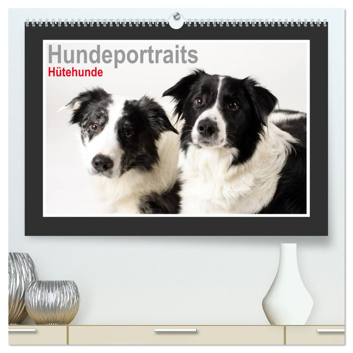 Hundeportraits - Hütehunde (CALVENDO Premium Wandkalender 2025)