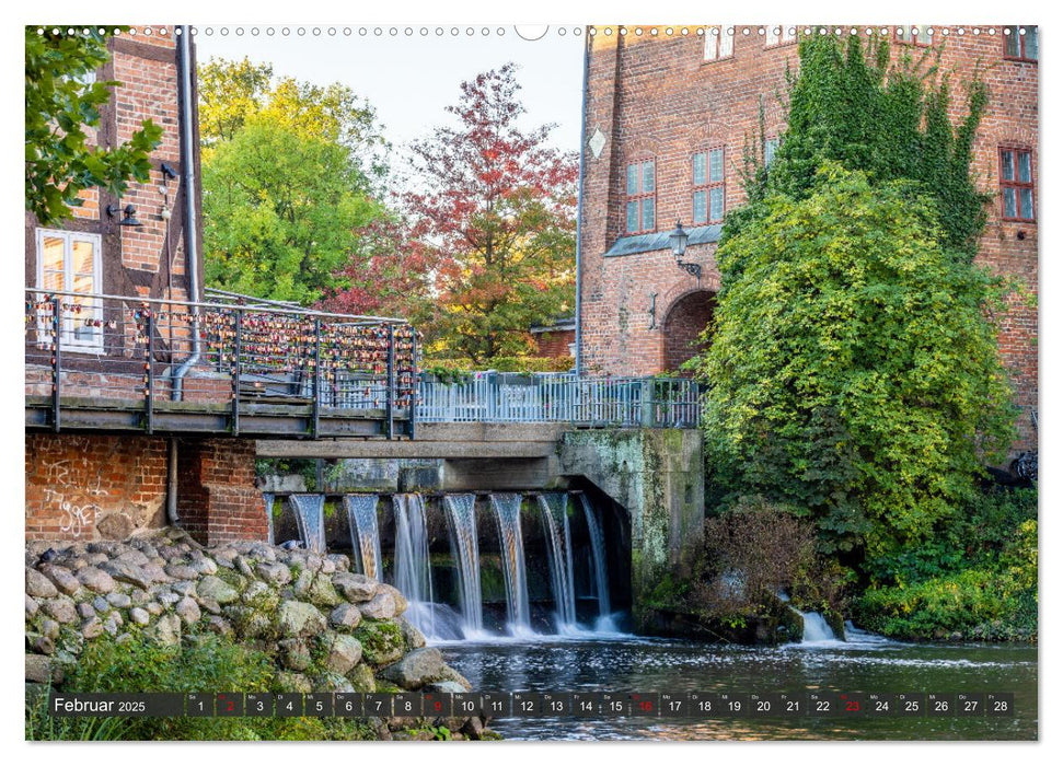 Lüneburg - Die Salz- und Hansestadt (CALVENDO Premium Wandkalender 2025)