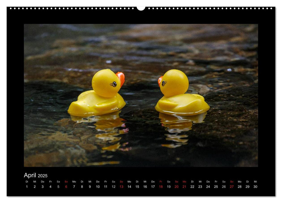 Enten-Rennen (CALVENDO Premium Wandkalender 2025)