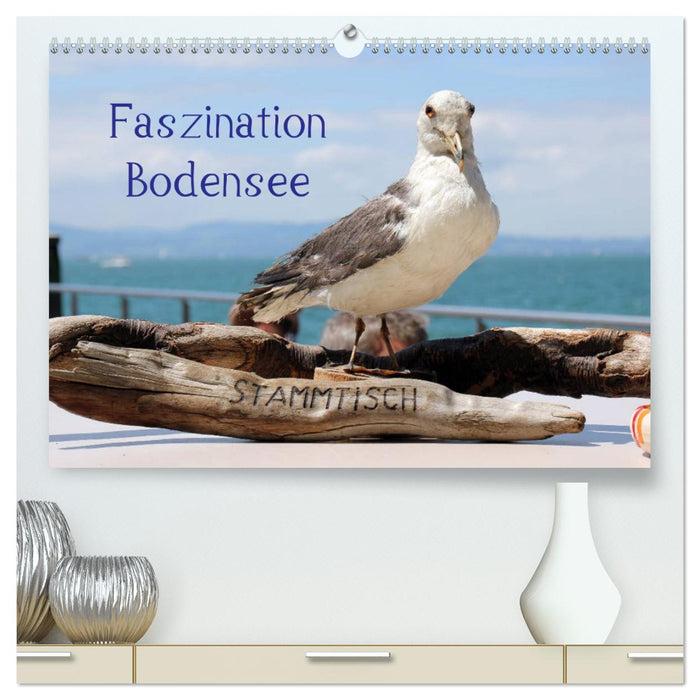 Faszination Bodensee (CALVENDO Premium Wandkalender 2025)