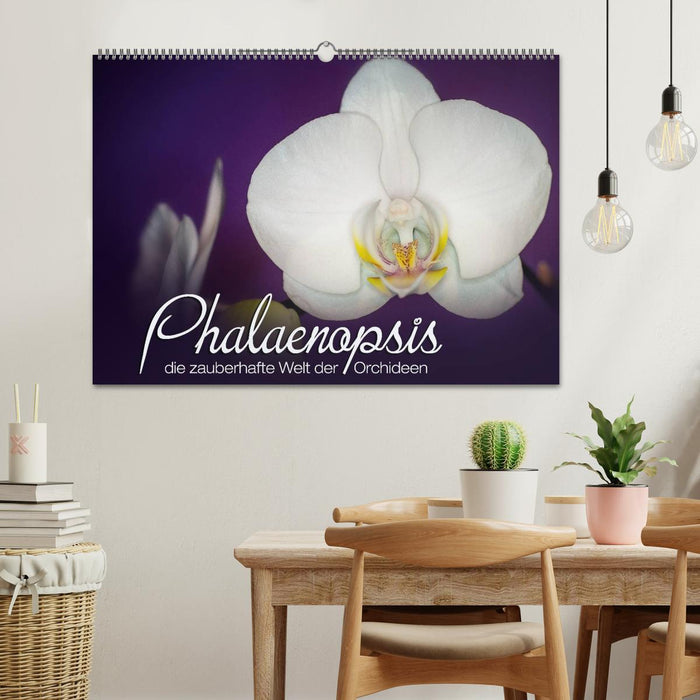 Phalaenopsis - die zauberhafte Welt der Orchideen (CALVENDO Wandkalender 2025)