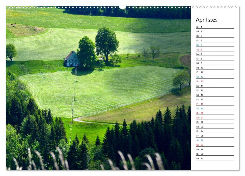 Hochschwarzwald (CALVENDO Premium Wandkalender 2025)